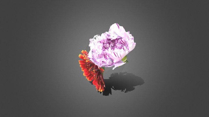 Two Flowers(3d Scan) 3D Model