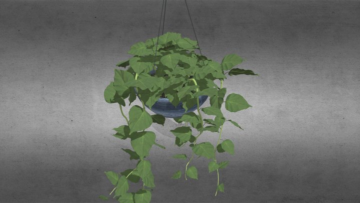 House Plants Hanging Pot 3D Model