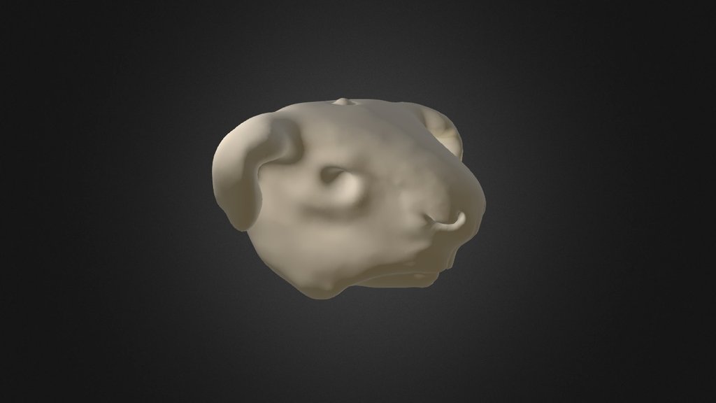 Canine Head Sketch