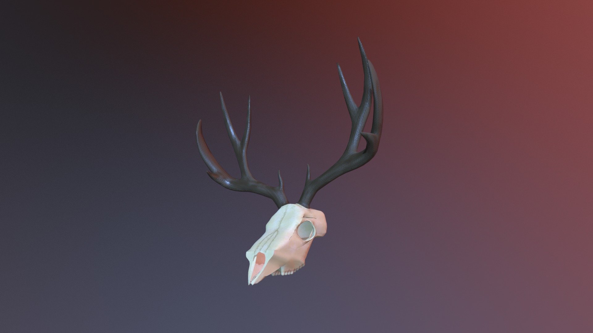Deer Skull
