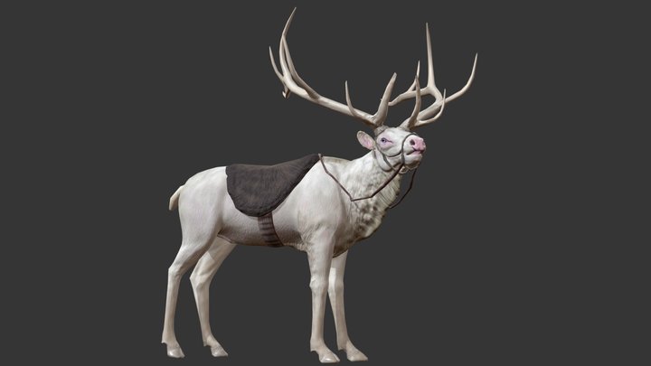 AlbinoElk 3D Model
