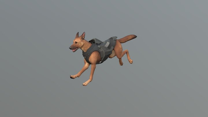 Astro: Gallop 3D Model