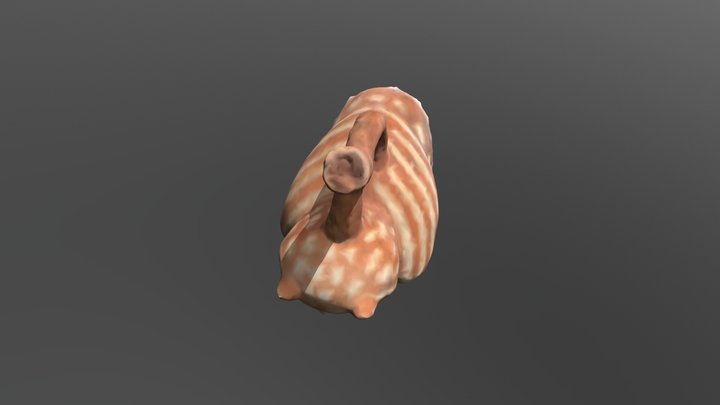 Owl3 3D Model