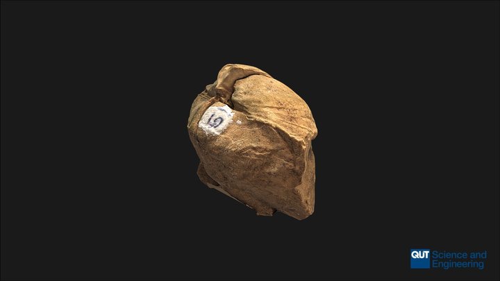 ERB102 Depositional Environments Sample 10 3D Model
