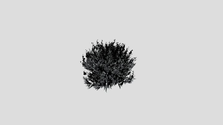 Shurb Caryopteris Bluebeard Animated – Free 3D Model STL