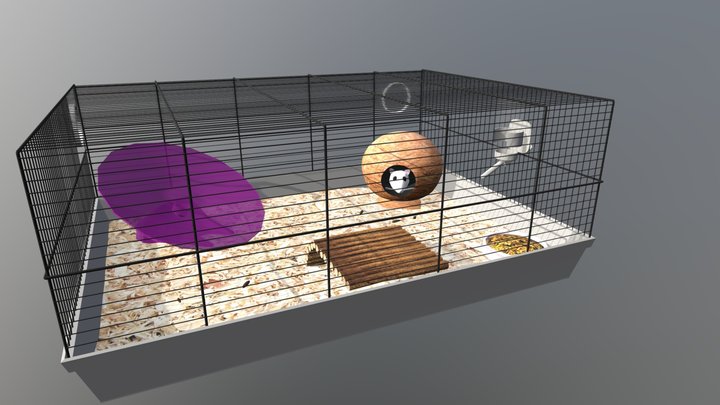 Flabsies Cage 3D Model