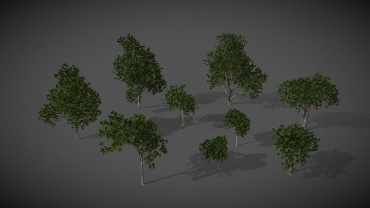 Banyan-tree 3D models - Sketchfab