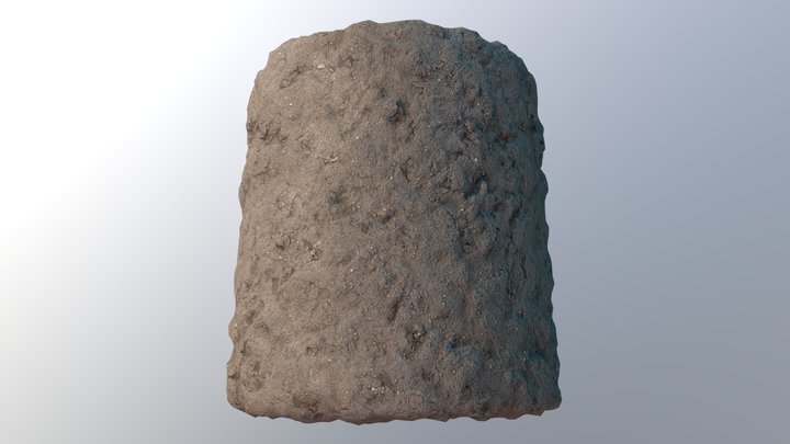 Drying Mud 3D Model