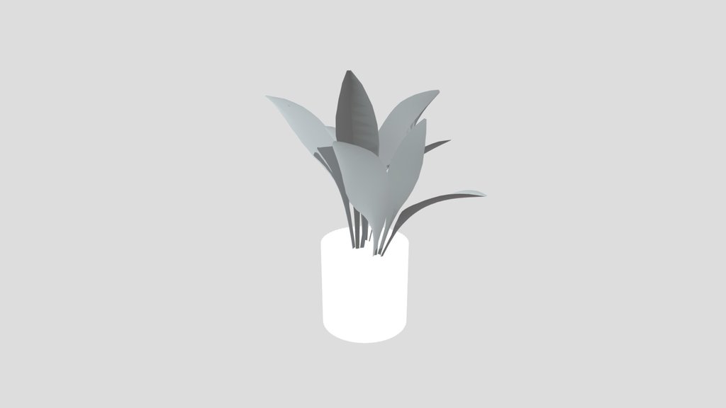 Haran Iron Plant Sprout Potted