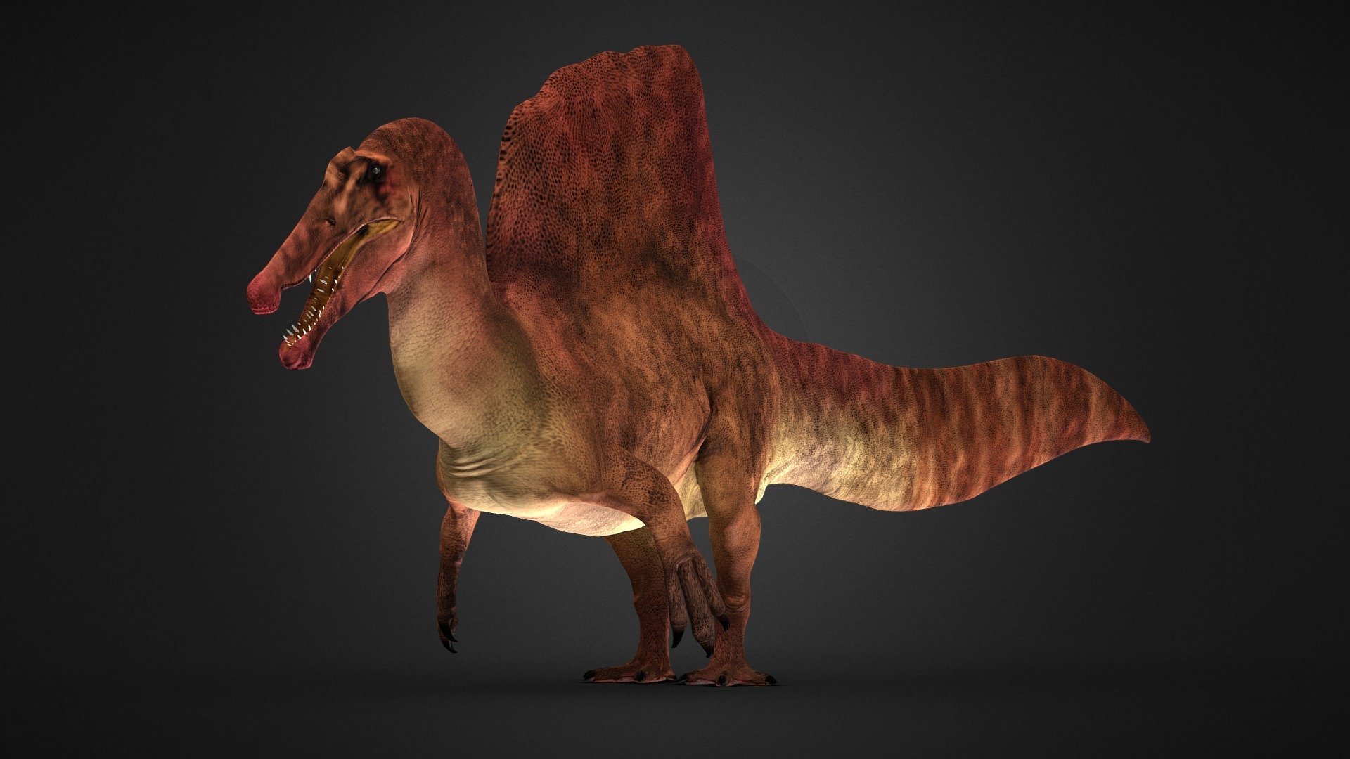 Spinosaurus aegyptiacus - Rigged - Buy Royalty Free 3D model by Iofry ...