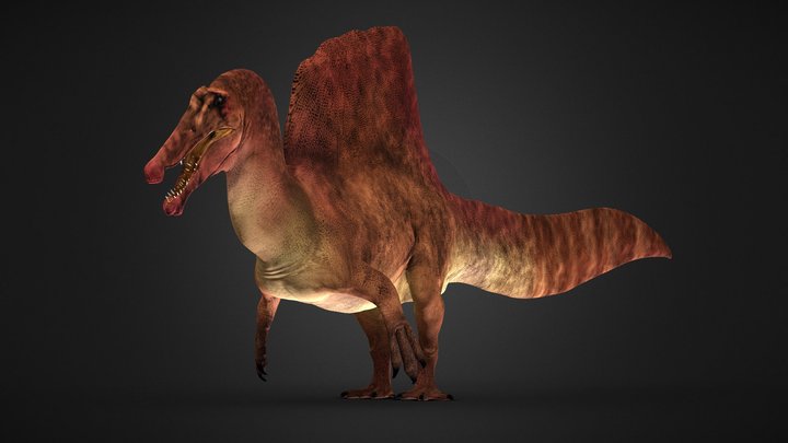 Spinosaurus aegyptiacus - Rigged 3D Model