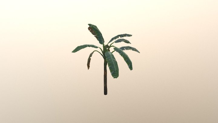 SM Tree Banana 3D Model