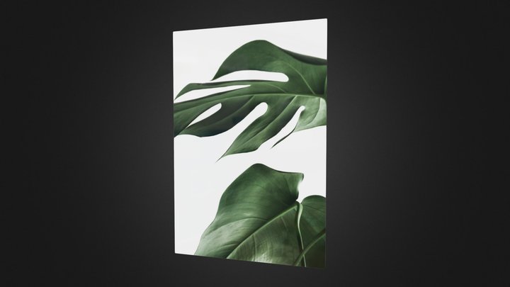 11 3D Model