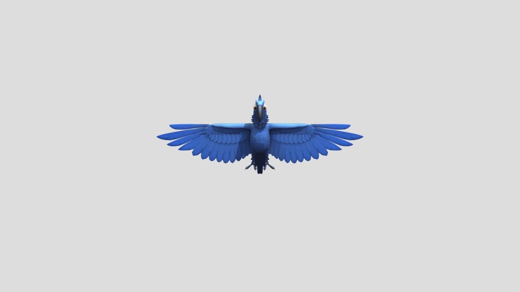 Blu_rig_rio