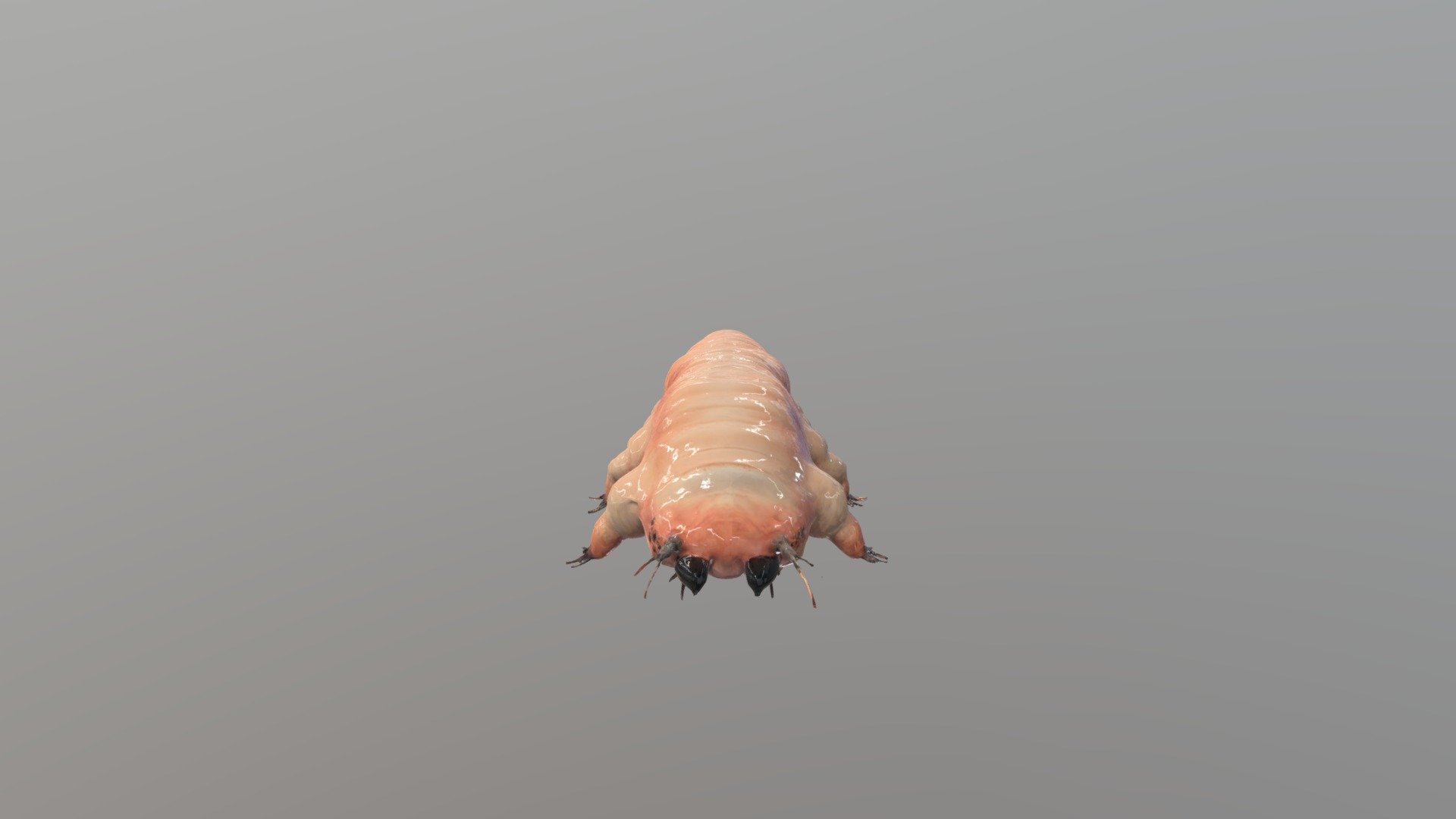 Microscopic Mite Render - 3D model by M.S.ALi [beb8f19] - Sketchfab