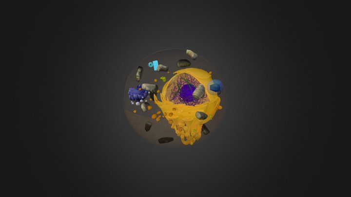 celula teste 3 3D Model
