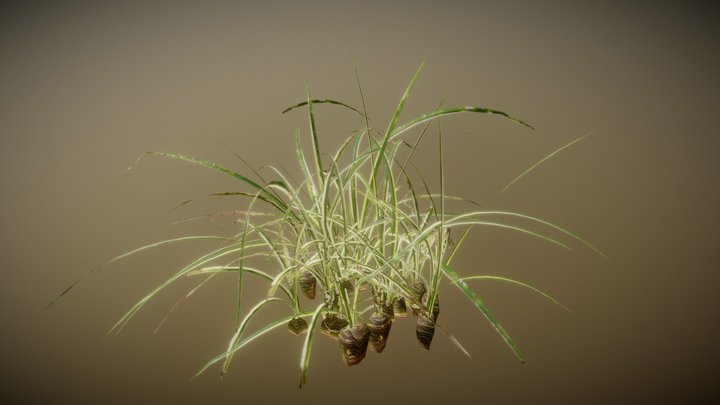 Plant 22 – Kostenloses 3D-Modell STL