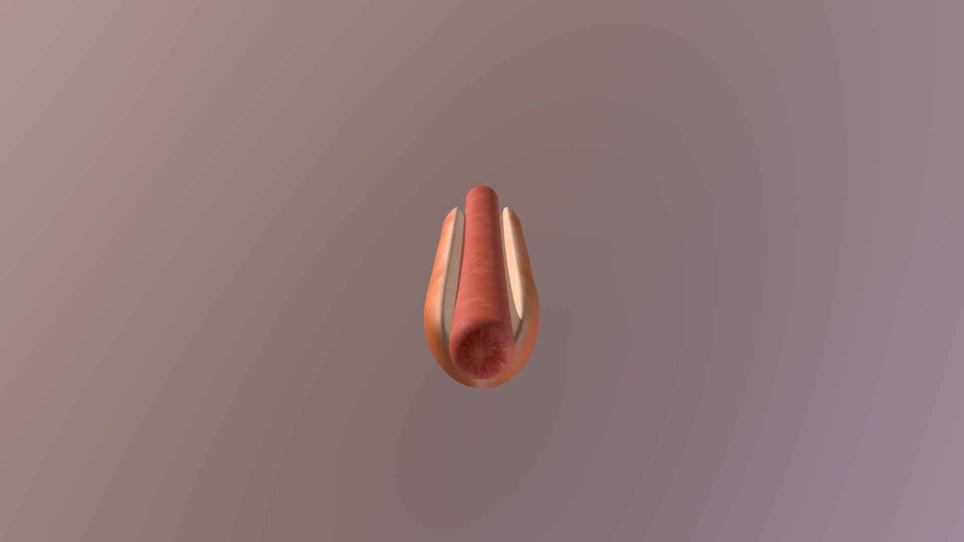 Hot Dog