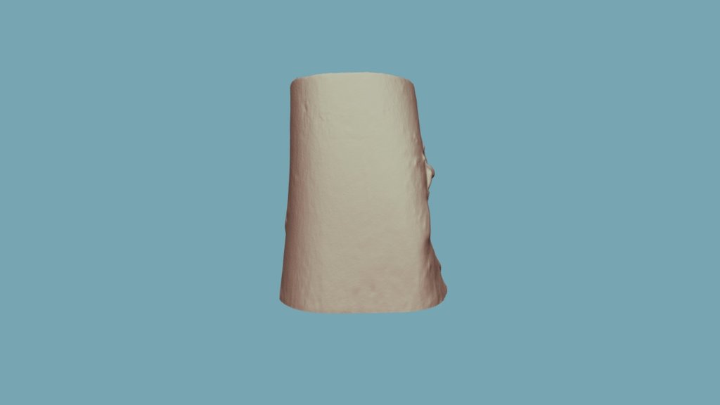 12-2 (Post-burn)