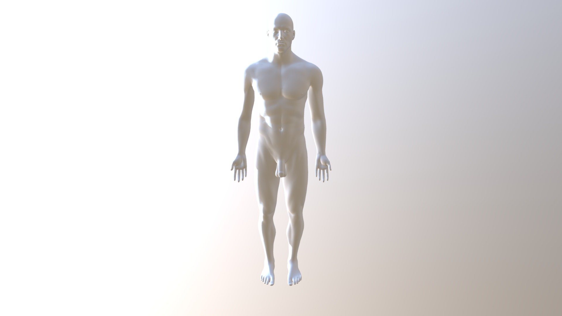 Zygote Male W Repro