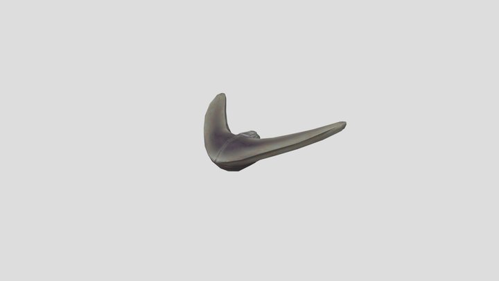 glider_LowPoly 3D Model