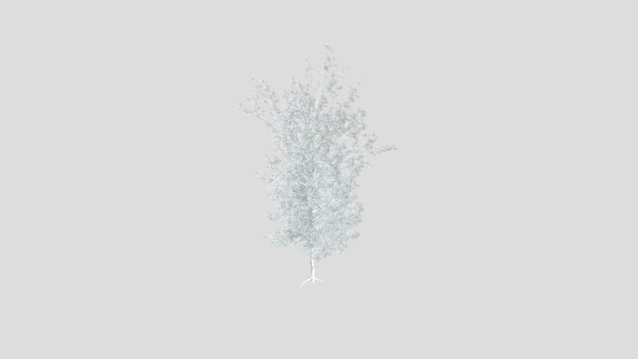 Sj Detailed Pine Branches – Free 3D Model STL
