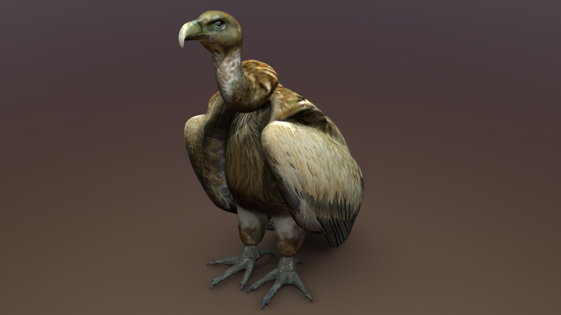 Vulture 3d Model By Atuha Bed226d Sketchfab 3481