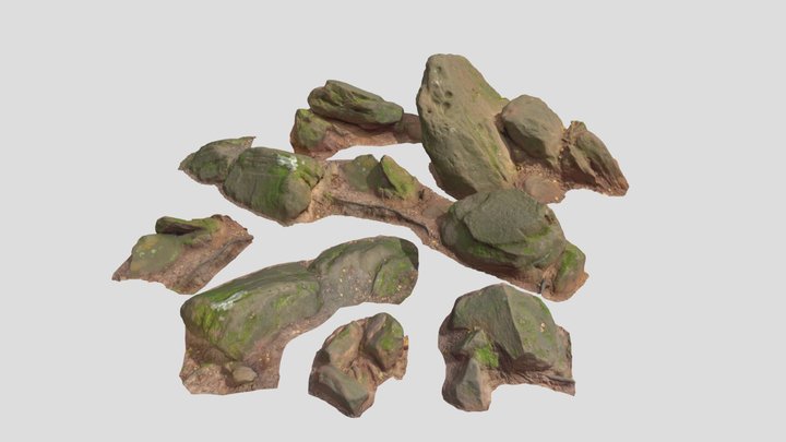 Rocks Stone Forest Pack Scan 3D Model