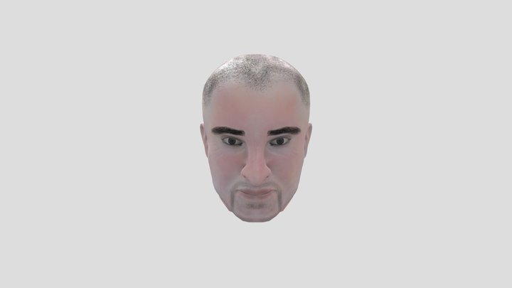 Dominic Purcell 3D Model