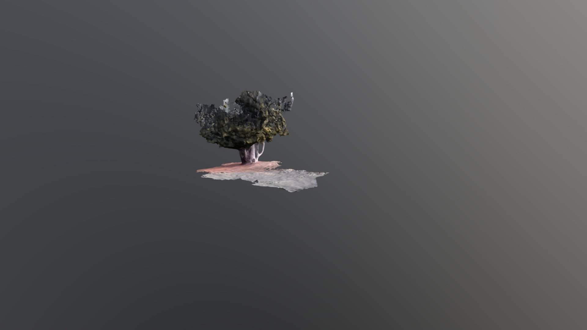 Arbre 2