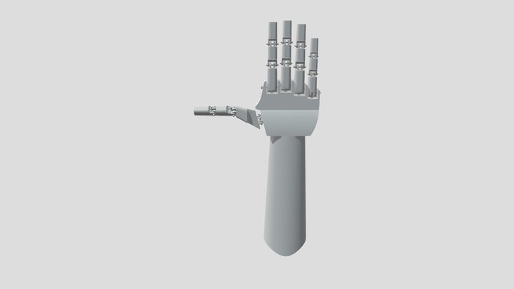 Misimi Sanni - Makers Supplement 3D File 3D Model