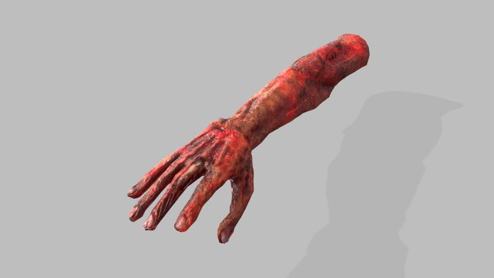 FPS Burned Hand 3D Model
