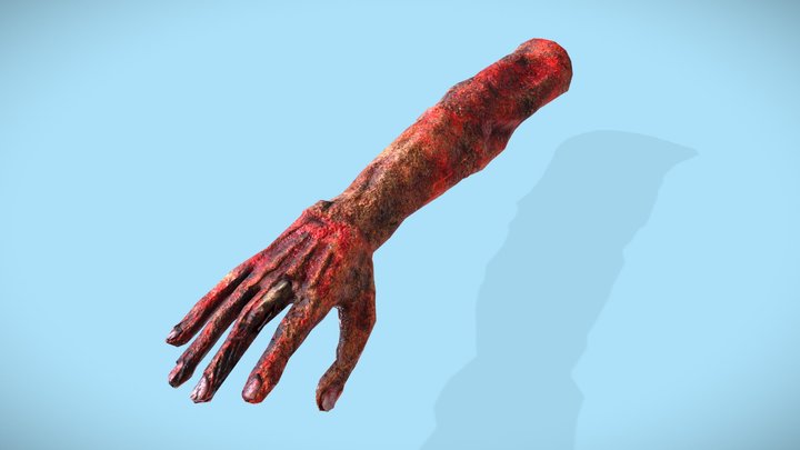 FPS Burned Hand 3D Model