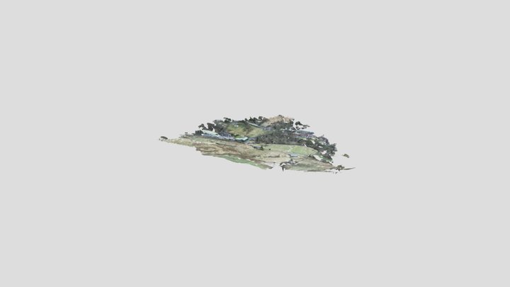 Rough Meadow 3D Model