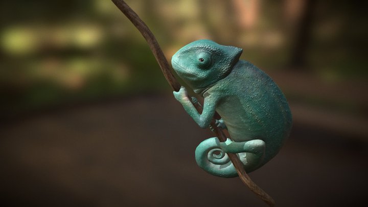 chameleon 3D Model