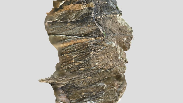 Ollo de Sapo gneiss 3D Model
