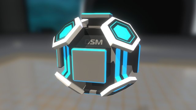 DSM 3D Model