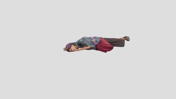 Sleeping Idle 3D Model
