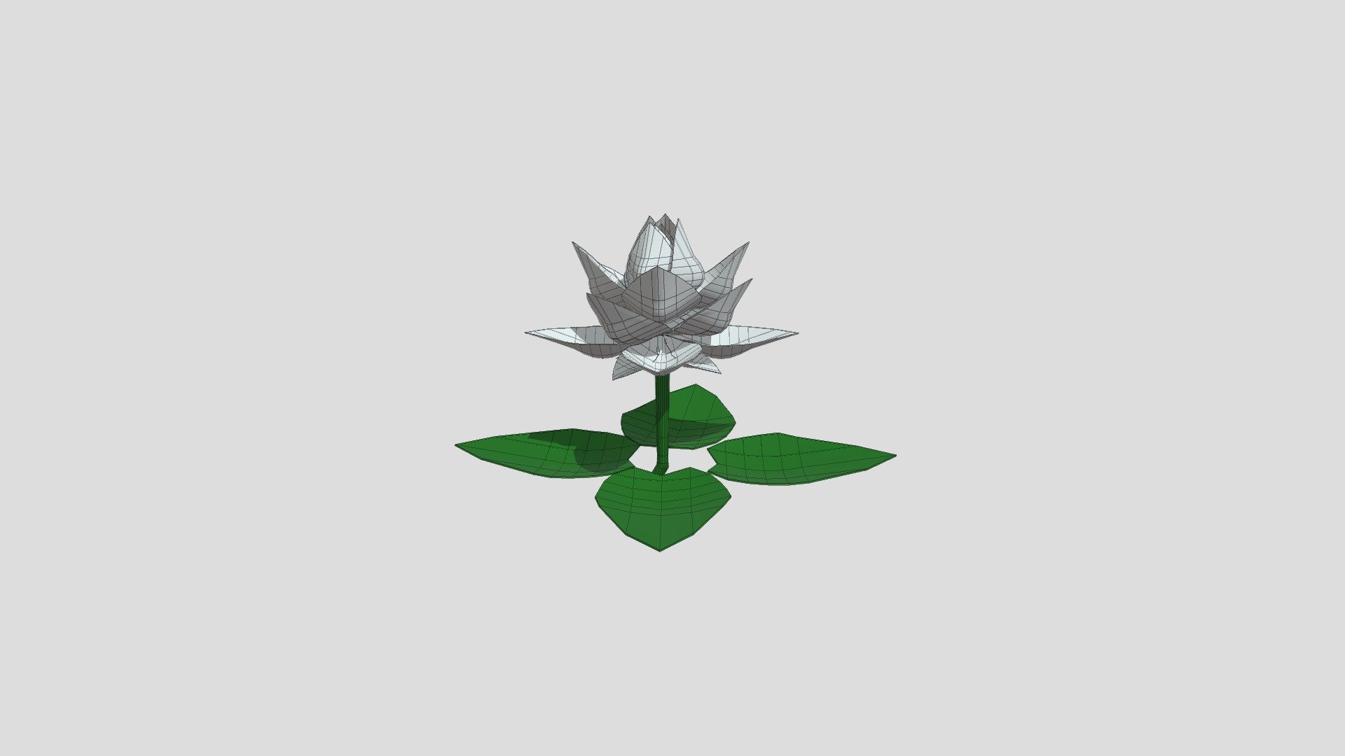 Lotus