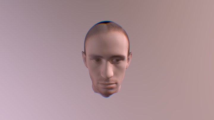 Face mesh 3D Model