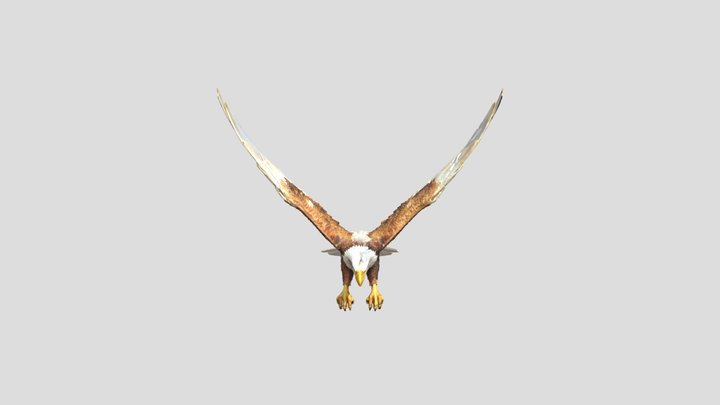 Mighty Garuda in Flight 3D Model