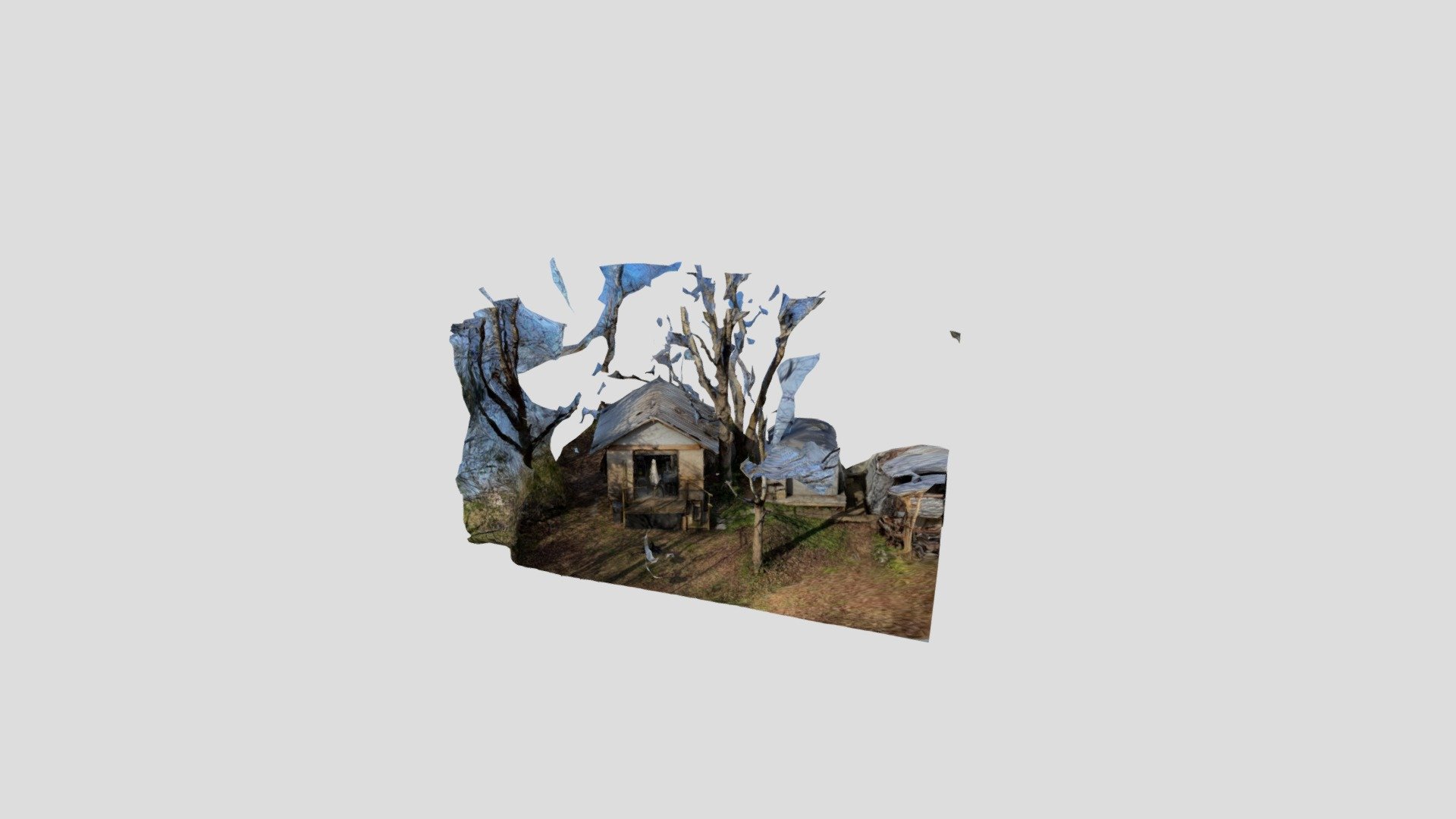 Art Shed