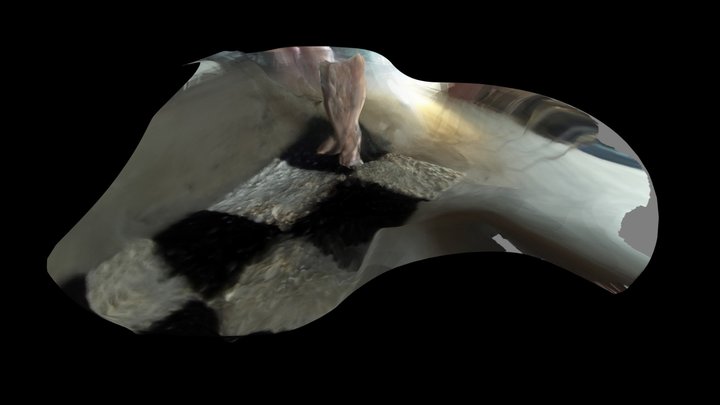 gop3ab2020 3D Model