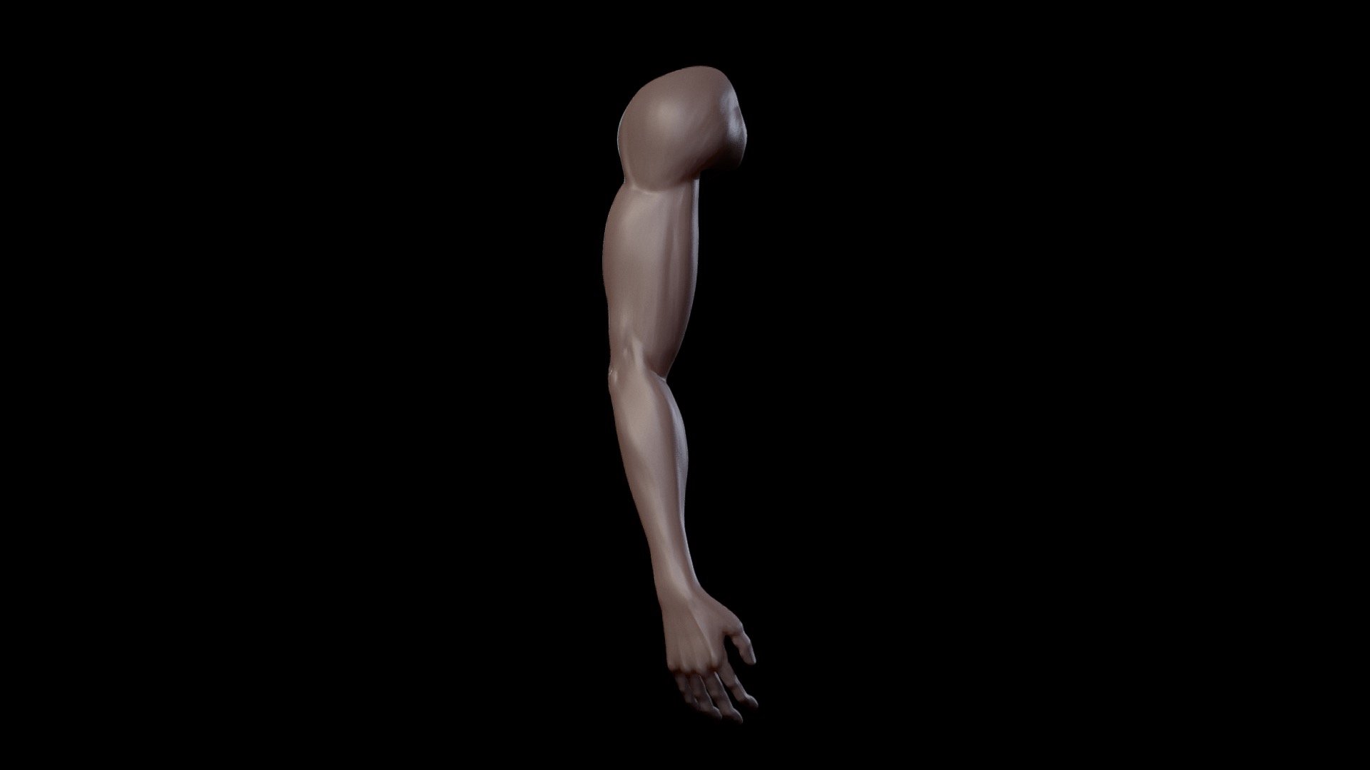 SculptJanuary18 // Limb - 3D model by kasita (@aohmai) [befdd5b ...
