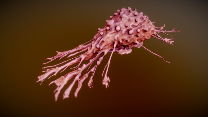 Cancer cell 3D Model