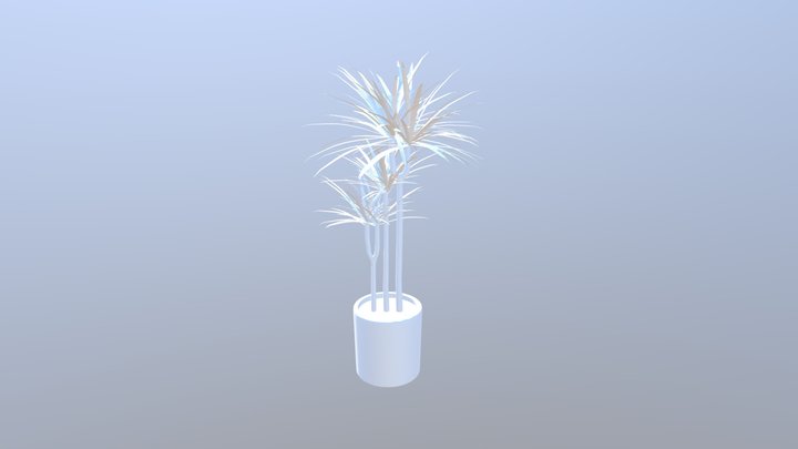 Plants_dracaena. 3D Model