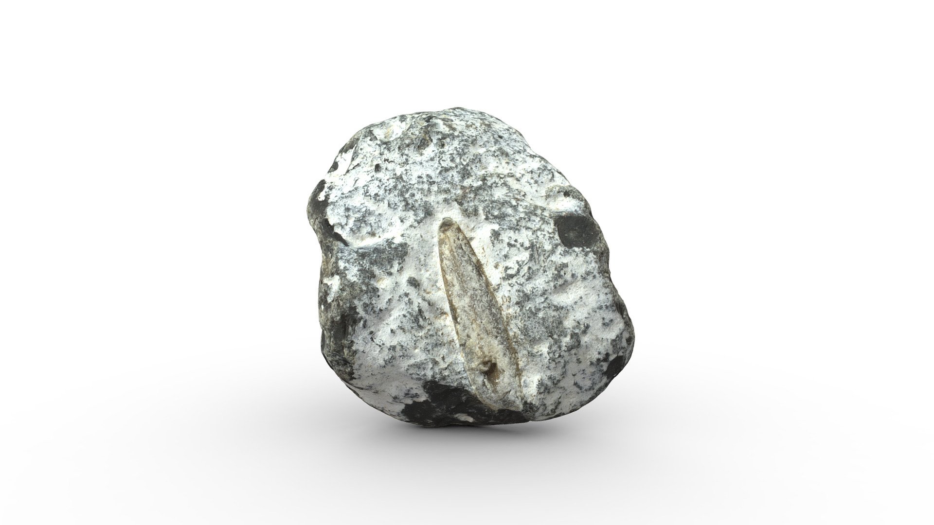 3D scanned Baltic flint with enclosed belemite