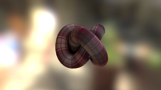 Knot 3D Model
