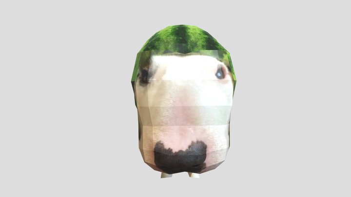 Low Poly Watermelon Dog 3D Model