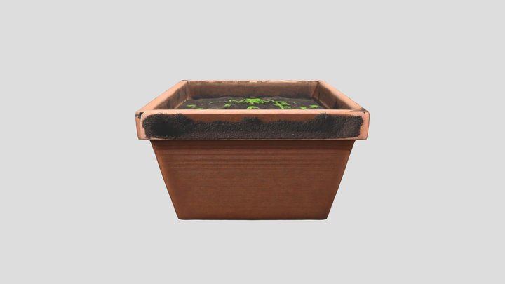 rectangle plant pot with soil, no plants 3D Model